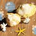 Baby Moby ͧ ҵ Premium Natural Sea Sponge  Honeycomb Ҵ XL