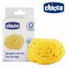 Chicco ฟองน้ำธรรมชาติแท้ Natural Sea Sponge